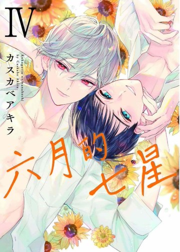 六月的七星（4）[二手書_全新]
