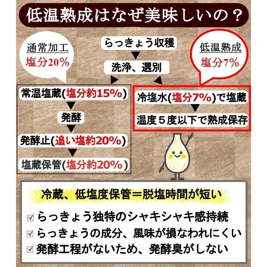 らっきょう 国産 ピリ辛 190gx3袋 鳥取 ふぞろい 無添加 低温熟成 国産 ラッキョウ漬け 甘酢漬け らっきょう 送料無料