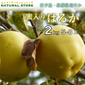 [予約 12月1日-12月31日の納品] はるか 蜜入り 5玉-8玉（中大玉）2キロ箱 化粧箱 りんご 長野県産 青森県産 ほか お正月必着指定 お年賀