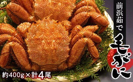 順次発送 前浜茹で毛ガニ（約450-500g×4尾） ＜株式会社 鳥潟＞ かに カニ 蟹 ガニ 森町 北海道 毛蟹 毛かに 毛ガニ 毛カニ ふるさと納税 北海道 mr1-0019