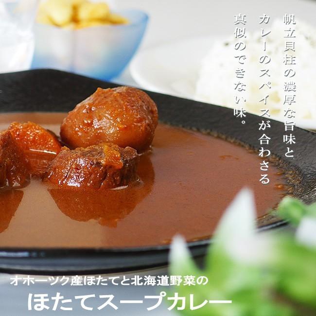 ほたてスープカレー 250g×2個セット (オホーツク産帆立貝柱 北海道産野菜ジャガイモ にんじん)(シンヤのほたて)