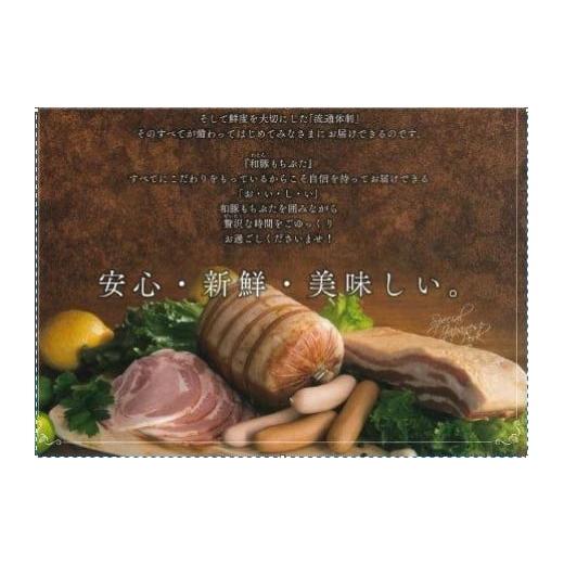 ふるさと納税 宮城県 角田市 豚肉 『もちぶた』ロース ソテー・とんかつ用  750g 約150g × 5枚