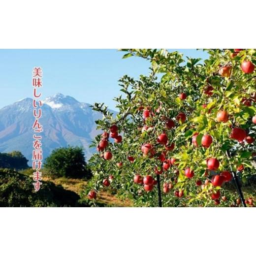 ふるさと納税 青森県 弘前市 12月発送 蜜入りサンふじ（みつまるくん）・シナノゴールドセット約5kg