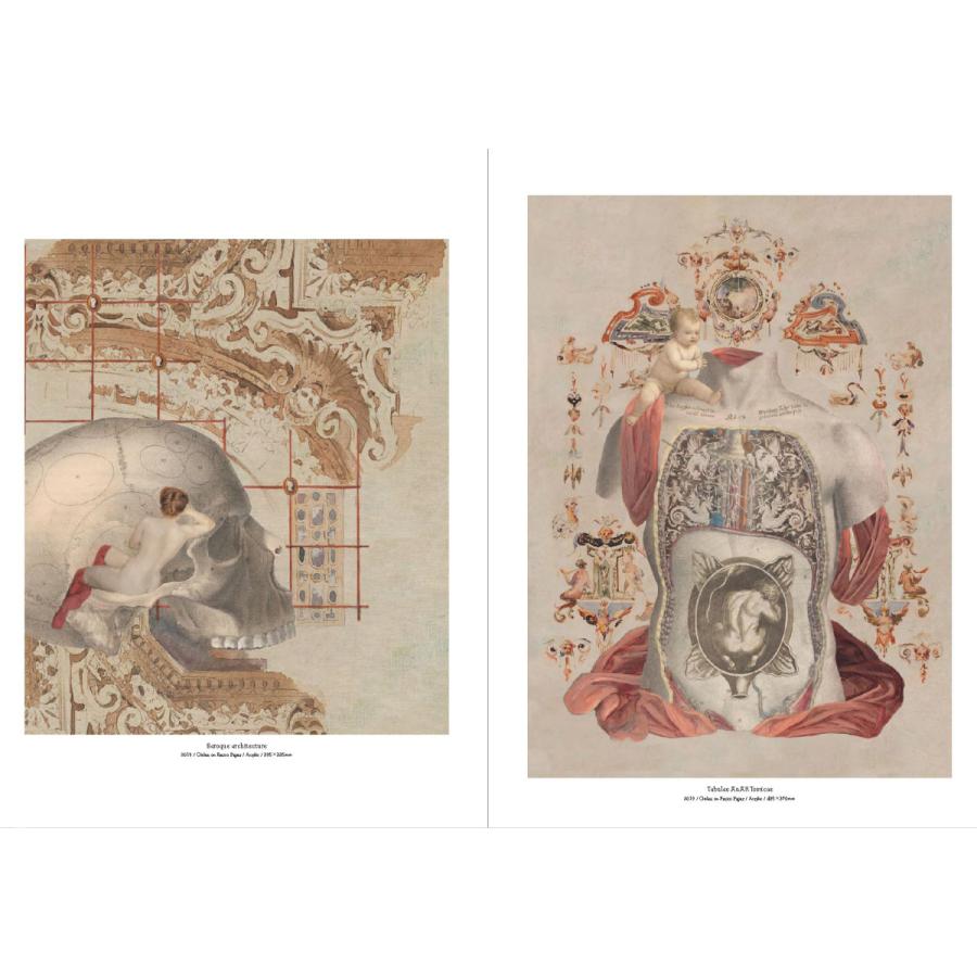 スズキエイミ 作品集『Anatomie de l'Art Insolite d’Eimi Suzuki 悍ましくも美しきものの解剖学』 