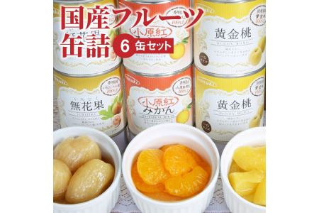 国産フルーツ缶詰 6缶セット_M08-0011