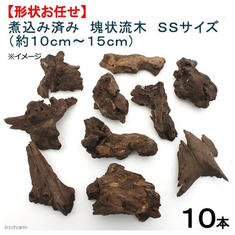 形状お任せ 煮込み済み 塊状流木 ｓｓサイズ 約１０ｃｍ １５ｃｍ １０本セット 通販 Lineポイント最大0 5 Get Lineショッピング