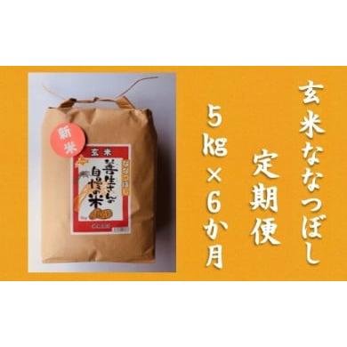 ふるさと納税 北海道 岩見沢市 令和5年産！『100%自家生産玄米』善生さんの自慢の米 玄米ななつぼし５kg　６か月　（全６回）