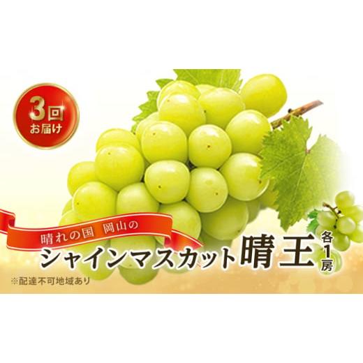 ふるさと納税 岡山県 里庄町 ぶどう 2024年 先行予約 3回お届け！  晴れの国 岡山の シャイン マスカット  晴王 ×3回！（各1房） 葡萄  岡山県産 国産 フルー…