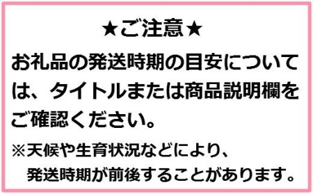 りんご「サンふじ」28～40玉（約10kg）