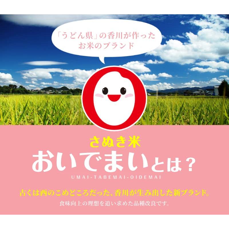  産地直送 香川県産 無洗米 おいでまい 10kg(5kgx2) 令和4年産