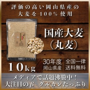 大麦 令和5年 岡山県産 大麦(丸麦)10kg もち麦の代わりに 送料無料 安い おすすめ 国産