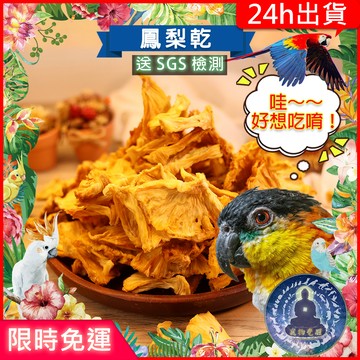 【寵物覺醒24h出貨】天然鳳梨乾小寵鸚鵡點心果乾穀物兔子黃金鼠蜜袋鼯松鼠小鳥文鳥倉鼠黃金鼠三線鼠老公公鼠一線鼠鸚鵡飼料
