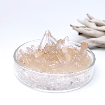 暖嶼。原礦 療癒 水晶盆栽 組合 淨化 I 白水晶 黃皮白晶簇 I