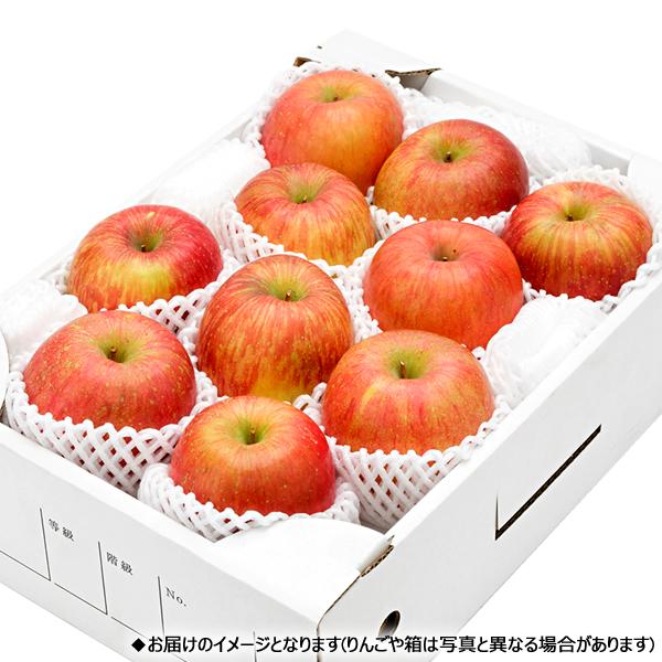 お歳暮 山形県産 りんご 葉とらずふじ 3kg (秀品 8玉〜12玉入り) リンゴ 冬ギフト ギフト 贈り物 贈答 高級 果物 フルーツ 送料無料 お取り寄せ