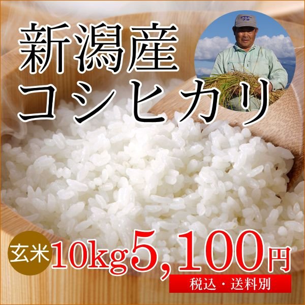 新潟産コシヒカリ 玄米 10kg