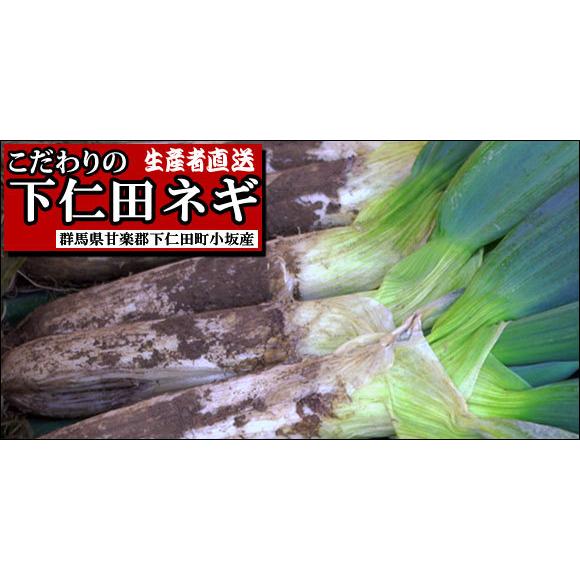 送料無料!!産地直送!!期間限定!! 佐藤さんの下仁田ねぎ [中箱Mサイズ 約26本] 本場の群馬県下仁田町産 こだわりの下仁田ネギ