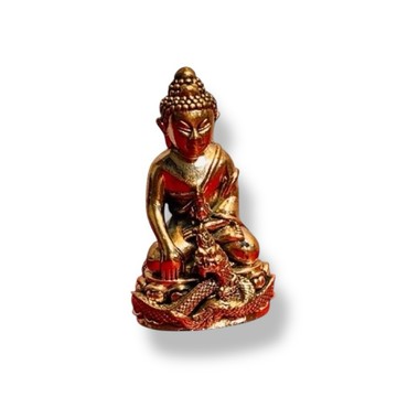 泰國藥師佛牌 龍普堪布 藥師佛 水龍 平安順利 水龍藥師佛 功德好運 祝福平安 身體健康 藥師琉璃佛 內有靈佛珠