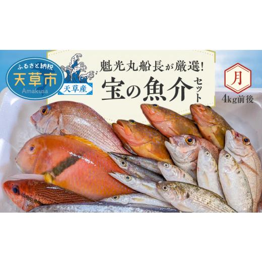 ふるさと納税 熊本県 天草市 S010-069_天草産 宝の魚介セット(4kg前後)