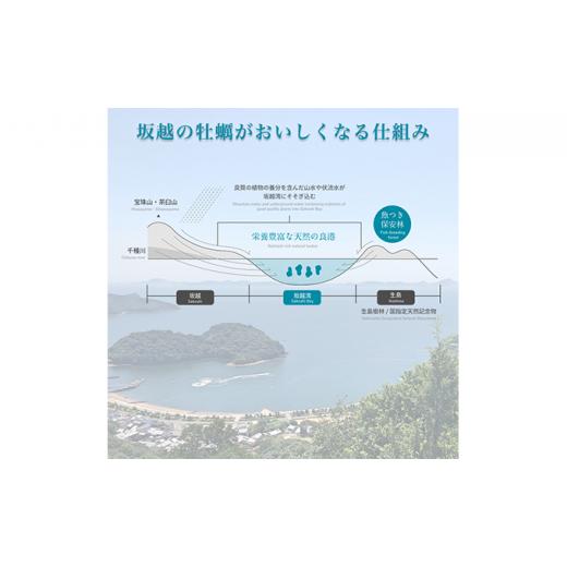 ふるさと納税 兵庫県 赤穂市 定期便 牡蠣 坂越かき 剥き牡蠣 500g×2[ 生牡蠣 かき カキ むき身 剥き身 生食