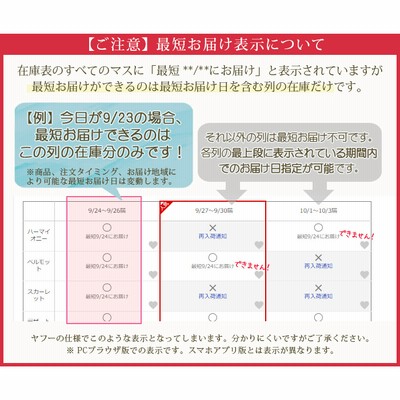 胡蝶蘭 大輪 3本立ち 蕾含む30輪以上 ホワイトプリンセス ギフト