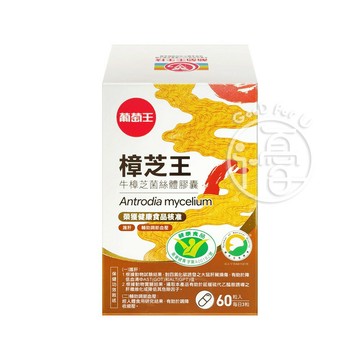 葡萄王 樟芝王 菌絲體膠囊 多醣體9% (60粒/瓶)【i -優】