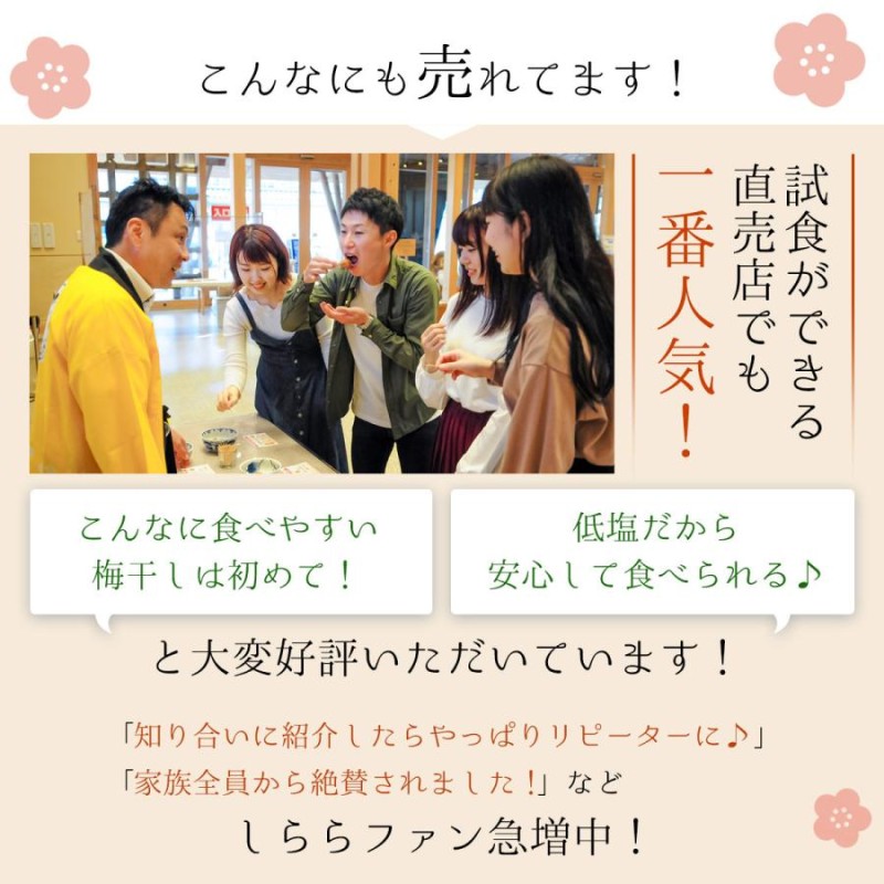 梅干し しらら 個包装 220g (約12〜14粒) 母の日 2024 塩分5％ 中田