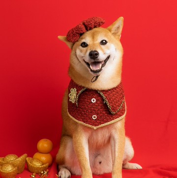 【新年聖誕雙用】紅色假期・翻轉領巾・雙面節慶領巾組