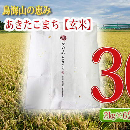 《定期便》12kg×3ヶ月 秋田県産 あきたこまち 玄米 2kg×6袋 神宿る里の米「ひの米」（お米 小分け）