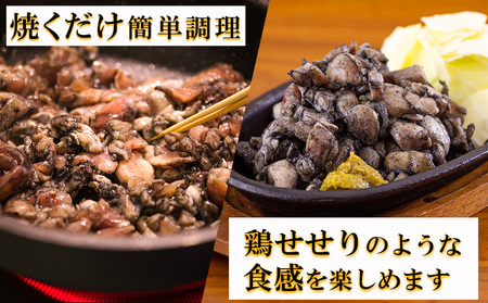 鶏肉 鶏 もも肉 細切り 炭火焼き風  200g×10袋セット(合計2.0kg) 真空包装 鶏肉 コンパクト モモ 鶏肉 国産 鶏肉 宮崎県産 若鶏 焼くだけ 簡単調理 BBQ バーべキュー キャンプ 手間なし 切り身 便利 小分け カット済み 鶏肉