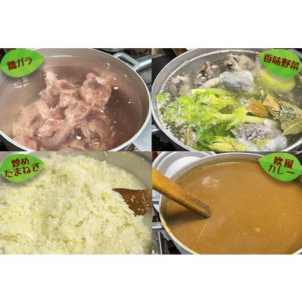 ふるさと納税 おうちで簡単！本格『伊勢えびカレーセット』 ２人前　[0025-0008] 千葉県鴨川市