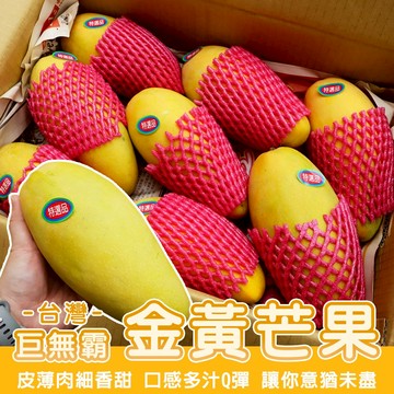 【切果季】超大巨無霸XXL金煌芒果(10斤±10%/箱)