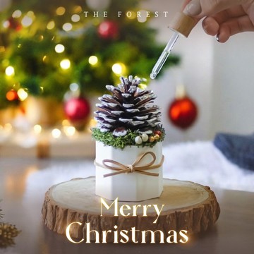 Lucky Pinecone 聖誕雪花松果擴香（贈送5ml香氛油）