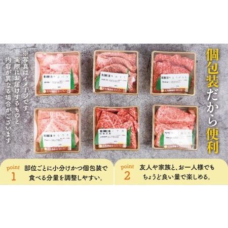 ふるさと納税 焼肉 6種食べ比べ 希少部位 各100g 計600g 牛肉 肉 部位おまかせ 赤身 霜降り和牛 ギフト 贈り物 飛騨市 岐阜県飛騨市