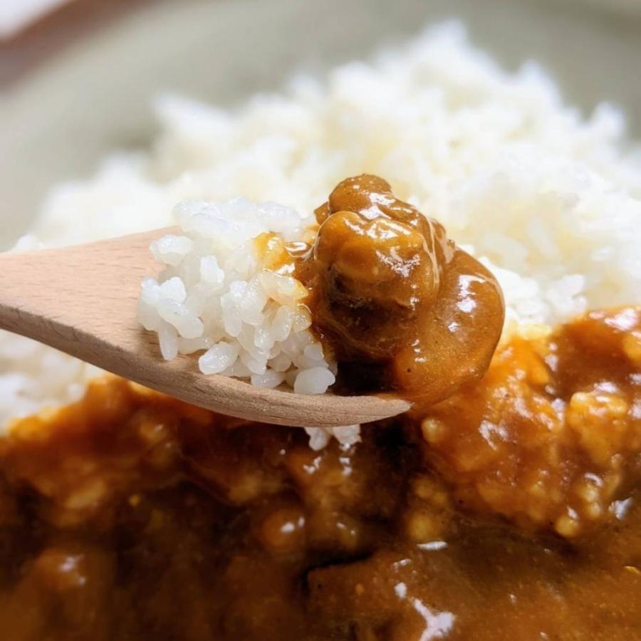 グルテンフリーカレー レトルト2袋セット｜グルテンフリー検査済｜親子で食べられる たっぷり200ｇ おいしい レトルトカレー グルテンフリー