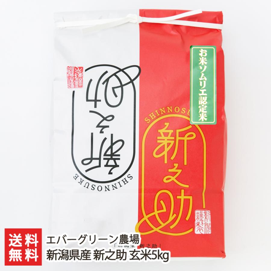 新潟県産新之助 玄米5kg エバーグリーン農場 送料無料