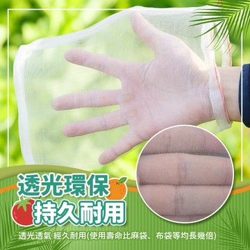 🔥台灣現貨24H出貨🔥 拉繩紗袋 禮品包裝袋 歐根紗袋 防蟲網袋 百香果套袋 小物袋 整理袋 水果雪紗袋 婚禮