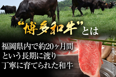 博多和牛サーロインしゃぶしゃぶすき焼き用　1kg（500g×2p）