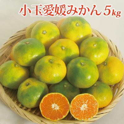 愛媛県産 小玉 愛媛みかん ５kg