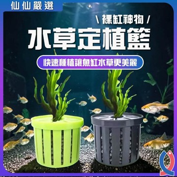 水草定植籃 水草杯 固根器 水培籃 魚缸造景 裸缸種草 水草固定 培植籃 魚缸裝飾 水族用品 吸盤水草杯 沉底固定 懶人