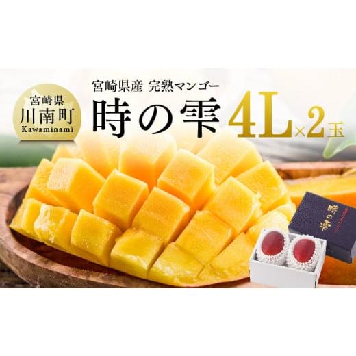 宮崎県産 完熟マンゴー M x 6食品/飲料/酒 - フルーツ