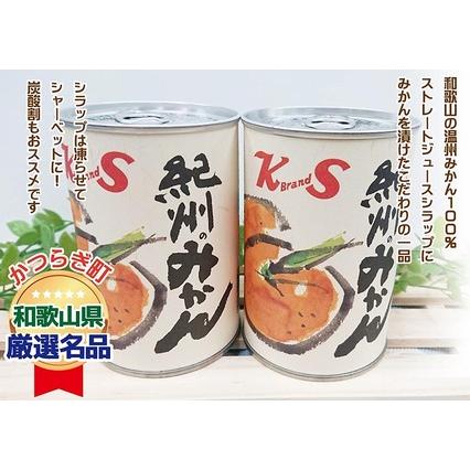 ふるさと納税 紀州のみかん缶詰（みかん果汁入りシラップ）435g×12缶セット ※着日指定不可 和歌山県美浜町