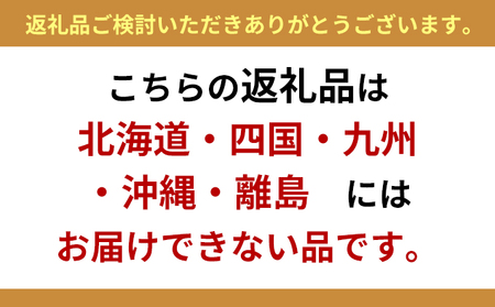 いかすの有機野菜（月1回10品お届け4回分）