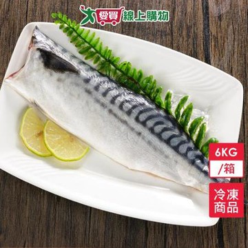 NG鯖魚片6kg/箱(含箱重約5.5-6kg/箱）【愛買】