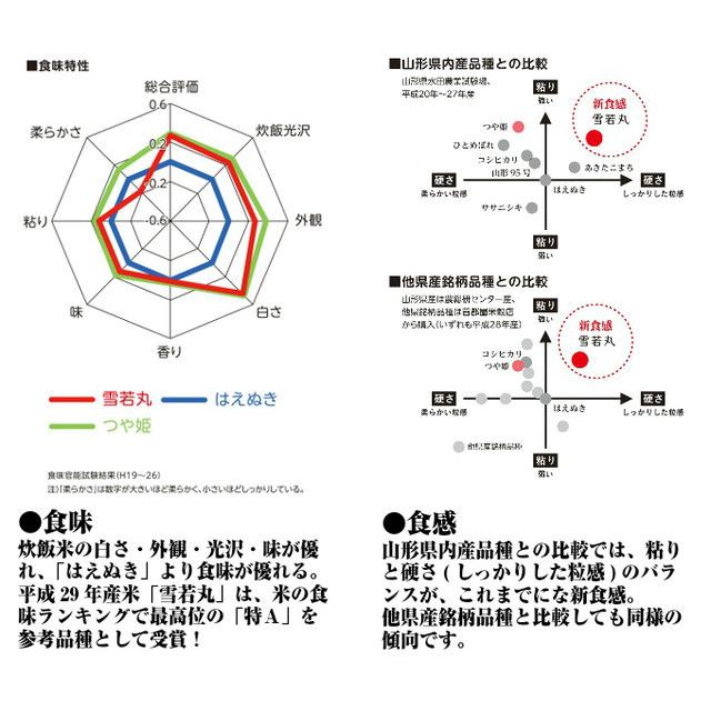 雪若丸 新米 米 玄米 30kg 令和5年産 山形県産 精米無料 白米 無洗米 分づき 当日精米 送料無料