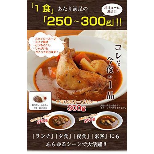  スープカレー レトルト 北海道 スパイシー チキンスープ カレー ゴロっと具材 常温 札幌