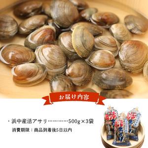 ふるさと納税 浜中産　活アサリ500g×3袋セット_230106 北海道浜中町