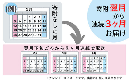 令和5年産＜無洗米＞総社市産きぬむすめ　20kg〔3回配送〕23-069-001