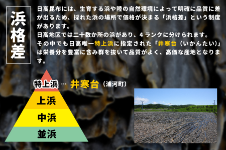 井寒台産　お徳用日高昆布(300g×2)と二等根昆布(200g×2)[34-1010]