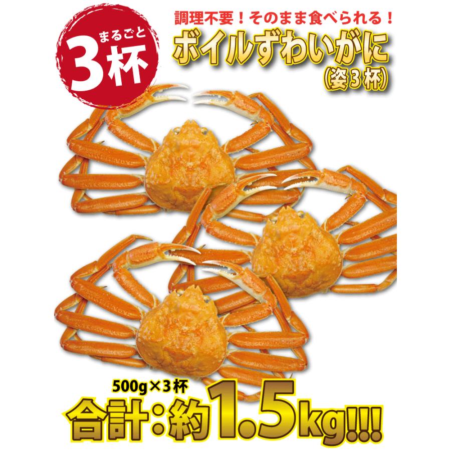 ズワイガニ ポーション 極太 生1kg  ズワイガニ姿 特大 ズワイガニ ボイル 1杯 約500g×3 ((冷凍)) かに鍋 カニしゃぶ 蟹焼き かに 蟹 カニ ギフト