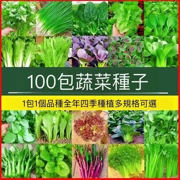 12h出貨 五十款家庭蔬菜種子 （100粒一元2粒 五十天可生長可多次採摘 家庭蔬菜種子 雞毛菜 番茄 菜心上海青空心菜